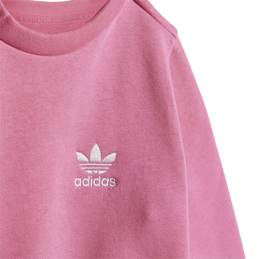  Adidas | JY4869X